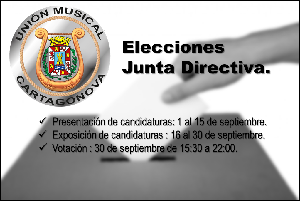 Elecciones1